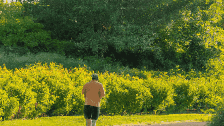 An image of a person jogging in a beautiful park setting, illustrating the positive impact of exercise on overall health and well-being.