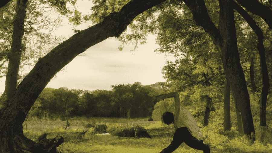 An image of a person doing yoga in a serene natural setting, surrounded by trees and sunshine.