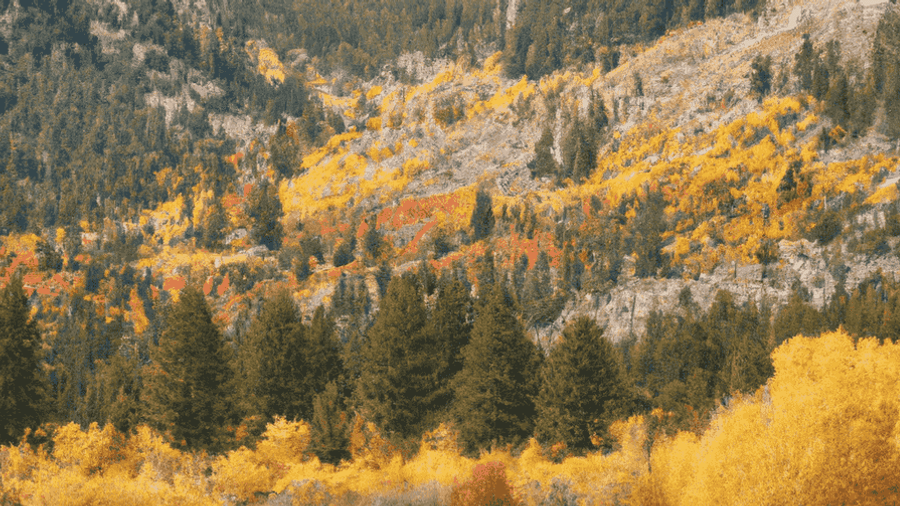 A scenic view of a tranquil mountain lake surrounded by colorful autumn trees.