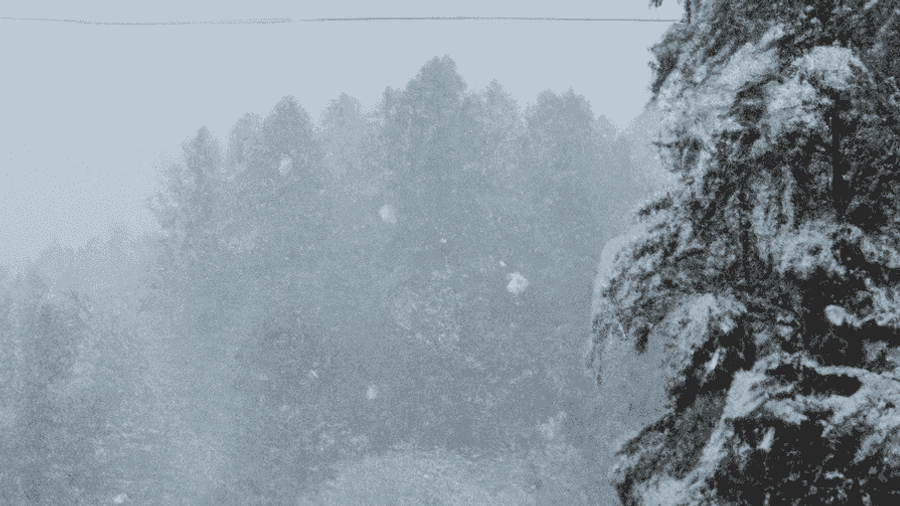 An image of a snow-covered forest with delicate snowflakes falling from the sky, capturing the serene beauty of winter.